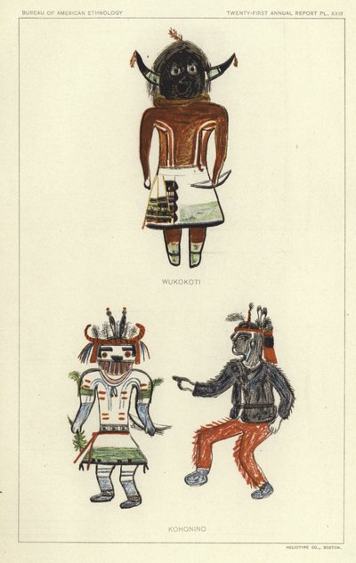 Wukokoti, Kohonino (kolorowa litografia) autorstwa American School
