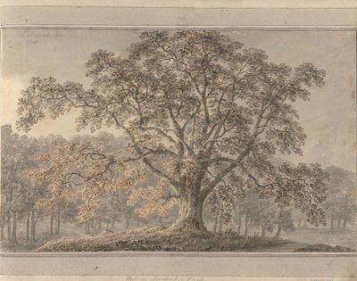 Widoki w Anglii, Szkocji i Walii: Ash w Londesbro Park, maj 1800 autorstwa Amos Green