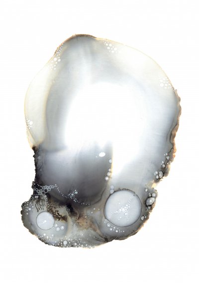 Próbka XI autorstwa Amy Louise Baker