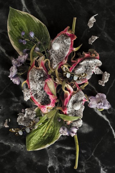 Eve_08, 2016 (Zdjęcia) autorstwa Ana Carolina Tavares Mizrahi