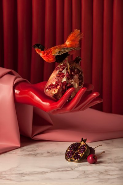 Rubi_07, 2015 (fotografia) autorstwa Ana Carolina Tavares Mizrahi