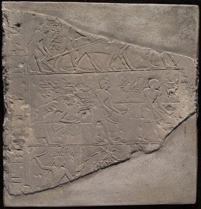 Fragment steli przedstawiającej orkę, żniwa i pasterstwo autorstwa Ancient Egyptian