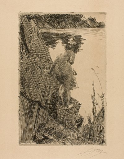 Kuracjusz autorstwa Anders Leonard Zorn