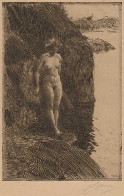 Przepaść, 1909. autorstwa Anders Leonard Zorn
