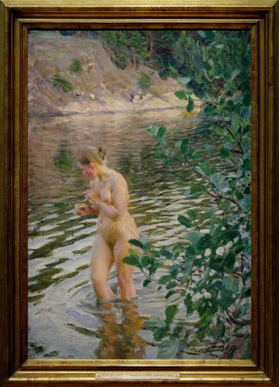 Zimny strumień autorstwa Anders Leonard Zorn