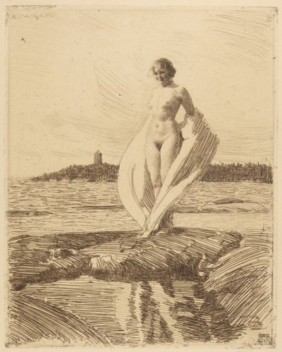 Łabędź autorstwa Anders Leonard Zorn