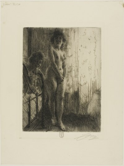 Ciemny zakątek autorstwa Anders Leonard Zorn