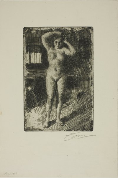 Anna robi swoje włosy autorstwa Anders Leonard Zorn