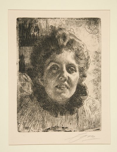 Zorza polarna autorstwa Anders Leonard Zorn
