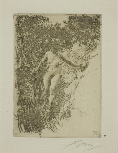 Chrust autorstwa Anders Leonard Zorn