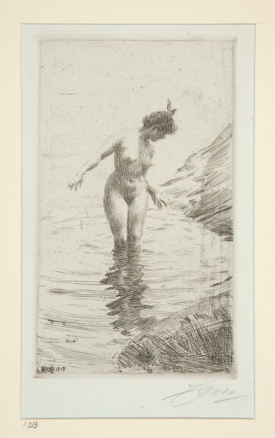 koła d autorstwa Anders Leonard Zorn