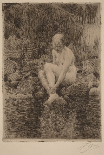  autorstwa Anders Zorn