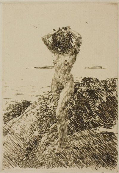 Hårtång (wieniec z wodorostów) autorstwa Anders Zorn