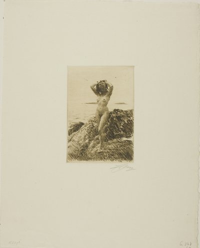 Hårtång (wieniec z drzewa morskiego) autorstwa Anders Leonard Zorn
