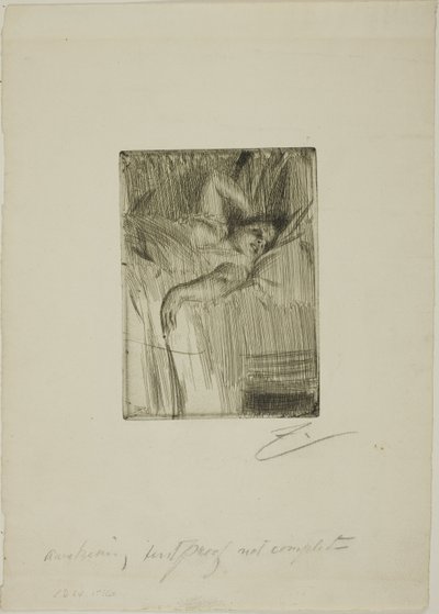 Alarm autorstwa Anders Leonard Zorn