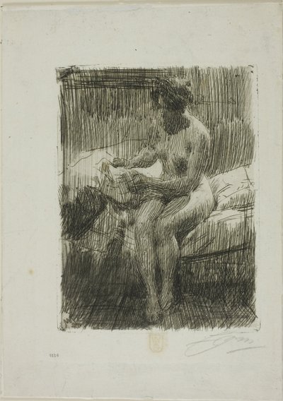 Odczyt modelu autorstwa Anders Leonard Zorn