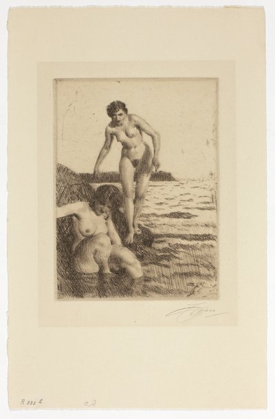 Na wyspie Hemsö autorstwa Anders Zorn