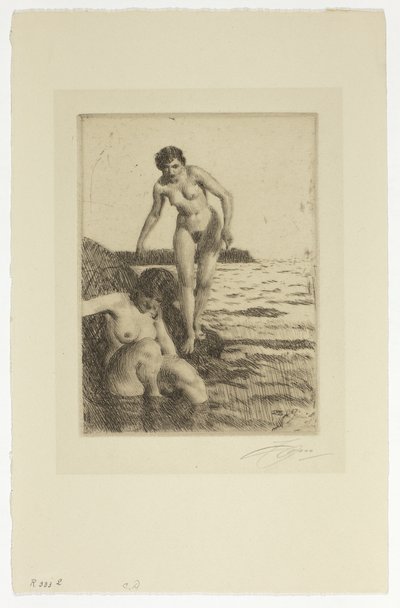 Na wyspie Hemsö autorstwa Anders Leonard Zorn