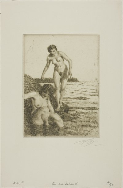 Na wyspie Hemsö autorstwa Anders Leonard Zorn