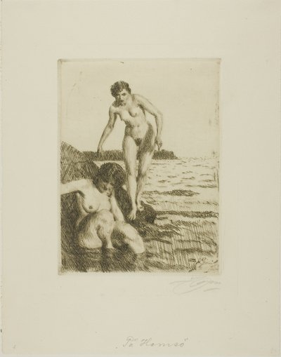 Na wyspie Hemsö autorstwa Anders Leonard Zorn