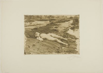 Na piaskach autorstwa Anders Leonard Zorn