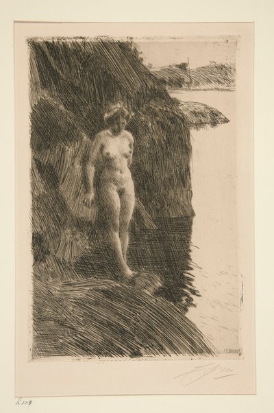 Szczególnie autorstwa Anders Leonard Zorn