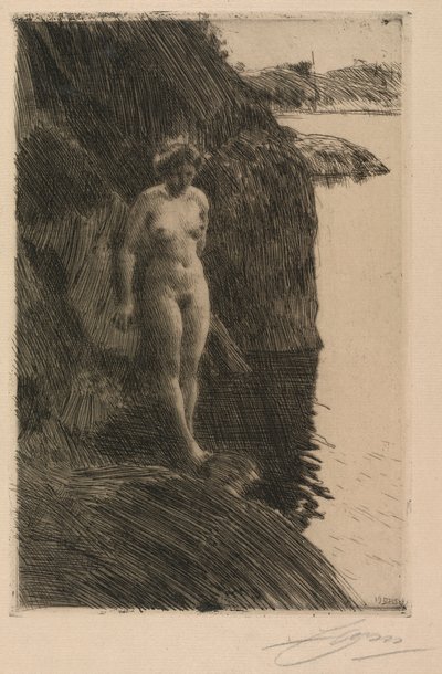 Przepaść autorstwa Anders Leonard Zorn