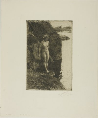 Przepaść autorstwa Anders Leonard Zorn
