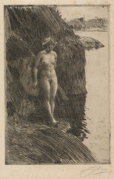 Przepaść autorstwa Anders Zorn