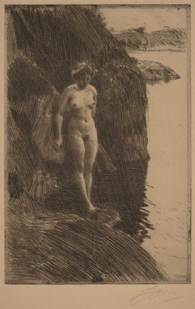 autorstwa Anders Zorn