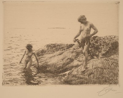  autorstwa Anders Zorn