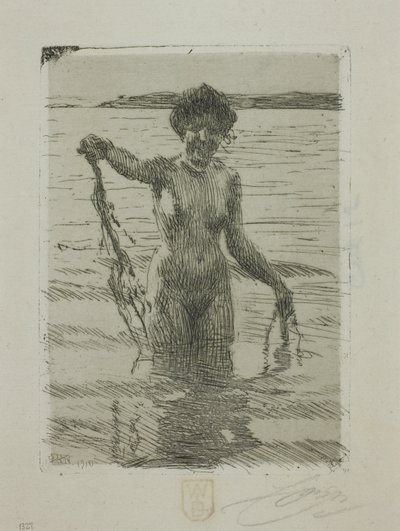 Wodorost autorstwa Anders Leonard Zorn