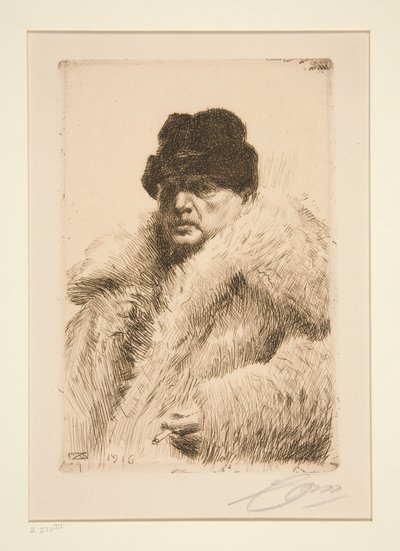  autorstwa Anders Zorn