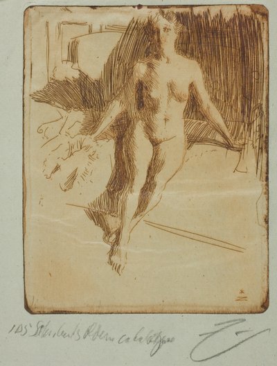 Studium od modelki autorstwa Anders Leonard Zorn