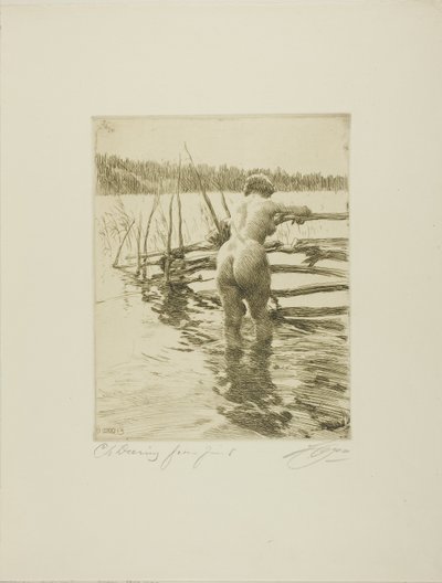 Płot autorstwa Anders Leonard Zorn
