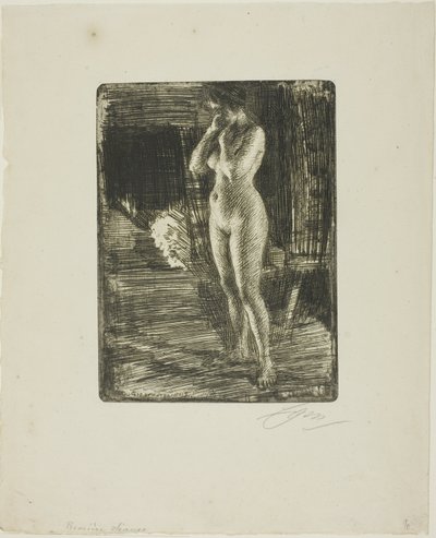 Pierwsza pozycja autorstwa Anders Leonard Zorn