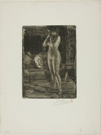 Pierwsza pozycja autorstwa Anders Leonard Zorn