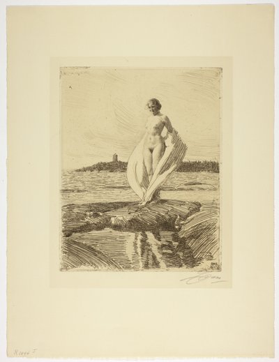 Łabądź autorstwa Anders Leonard Zorn