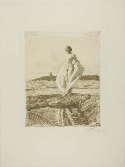 Łabądź autorstwa Anders Leonard Zorn