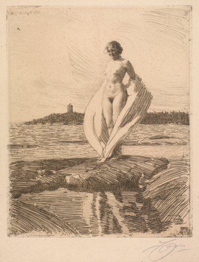 Łabądź autorstwa Anders Leonard Zorn