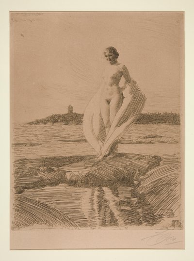 Łabądź autorstwa Anders Leonard Zorn