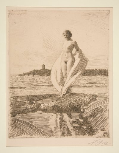 Łabądź autorstwa Anders Leonard Zorn