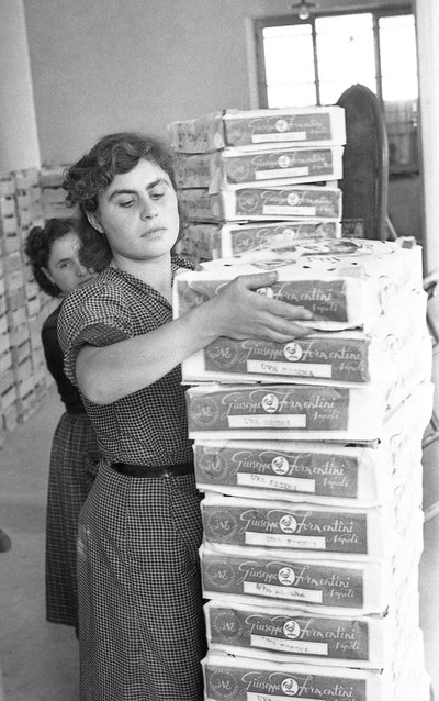 GORZKIE WINOGRONA - WYWAR autorstwa Ando Gilardi