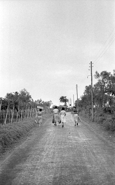 GORZKIE WINOGRONA - W KIERUNKU PRZYDZIELONEGO STANOWISKA autorstwa Ando Gilardi