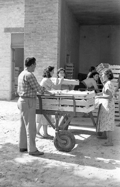 GORZKIE WINOGRONA - MAGAZYNOWANIE autorstwa Ando Gilardi