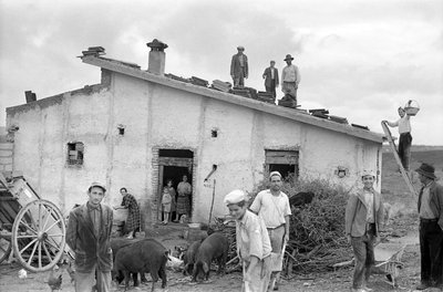 ŚWIĘTOWANIE POKRYWY DACHU, autorstwa Ando Gilardi