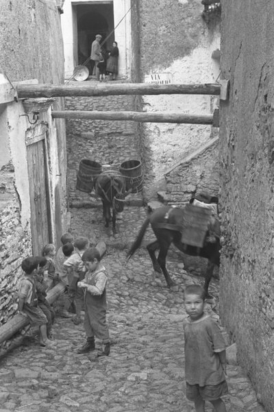 DZIECI, MELISA autorstwa Ando Gilardi