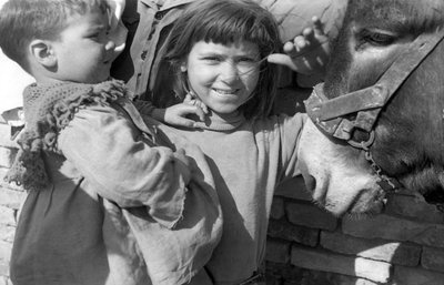 CROTONE - ŻYCIE W WIOSKACH ROBOTNICZYCH, autorstwa Ando Gilardi