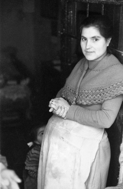 CROTONE - MACIERZYŃSTWO autorstwa Ando Gilardi