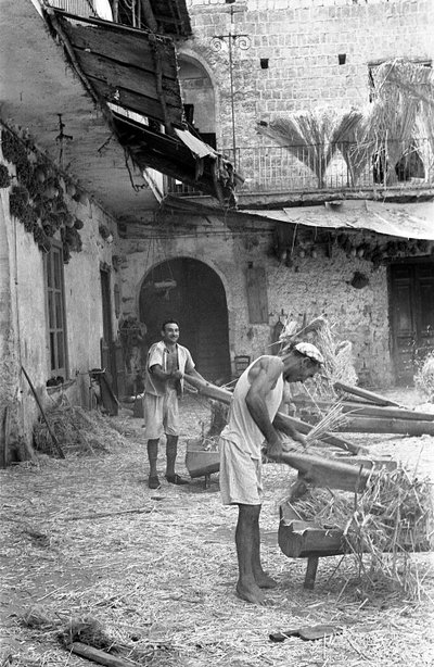 PRZETWARZANIE KONOPI, DOZOWANIE autorstwa Ando Gilardi